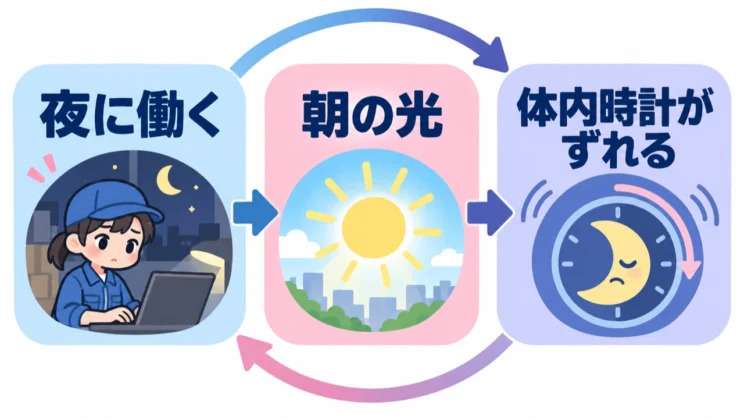 夜勤と朝の光が、体内時計のずれにつながります。